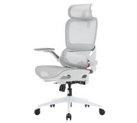 SIHOO B100 Pro Fauteuil de Bureau Ergonomique en Maille, Chaise de Bureau avec Support Lombaire Dynamique 4D, Appui-Tête 3D Large, Accoudoirs Relevables 4D, Inclinaison 90-135°, Gris et Blanc