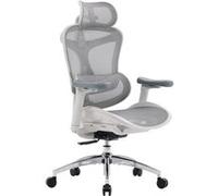 SIHOO Doro C300 Chaise ergonomique - Accoudoirs 3D - Support lombaire auto-ajustable - Mécanisme poids intelligent - Dossier maille - 3 inclinaisons - Certifié TUV/SGS - 150kg max - 70x69x128cm - Blan
