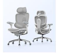 SIHOO C300 V2 Chaise de Bureau Ergonomique, Soutien Lombaire, 8D Accoudoirs Réglables, Maille, Gris