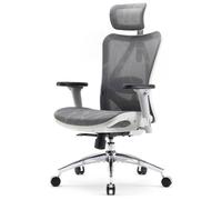 SIHOO M57 Fauteuil de Bureau Ergonomique pour Ordinateur avec appuie-tête réglable, Dossier et accoudoirs en Maille G