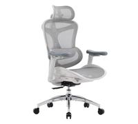 SIHOO Doro C300 Chaise Bureau Ergonomique, Support Lombaire Dynamique, Gris