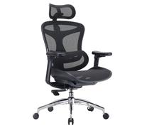 SIHOO Doro C300 Chaise Bureau Ergonomique, Support Lombaire Dynamique, Noir