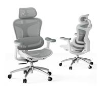SIHOO Doro C300 Chaise de Bureau Ergonomique, Accoudoirs 3D Ultra Doux, Support Lombaire Dynamique, Dossier Réglable pour Bureau à Domicile (Gris)