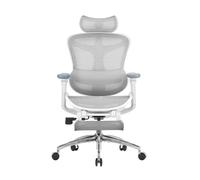 SIHOO Doro C300 Chaise de Bureau Ergonomique, avec Soutien Lombaire Dynamique, accoudoirs 3D et Dossier réglable, Repose-Pieds pour Un Confort accru, Gris(150 kg)