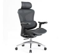 SIHOO Doro C300 Fauteuil de Bureau Ergonomique avec Soutien Lombaire Dynamique,Accoudoirs et Dossier Réglables 3D,Noir