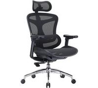 SIHOO Doro C300 Fauteuil de Bureau Ergonomique avec Soutien Lombaire Dynamique,Accoudoirs et Dossier Réglables 3D,Noir