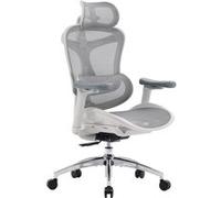 Doro C300 Fauteuil de Bureau Ergonomique avec Soutien Lombaire Dynamique,Accoudoirs et Dossier Réglables 3D,Gris