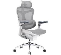 SIHOO Doro C300 Pro Chaise Bureau Ergonomique avec accoudoirs 6D Ultra Doux, Soutien Lombaire Dynamique et Ajustement de la Profondeur du siège pour Le Bureau à Domicile (Grigio), Expédiée en 2 Colis