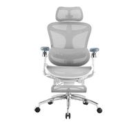 SIHOO Doro C300 Pro Chaise de Bureau ergonomiqueavec accoudoirs 6D Ultra-Doux, Soutien Lombaire Dynamique, Repose-Pieds pour accru, réglage de la Profondeur d'assise, Expédiée en 2 Colis, Grigio