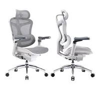 SIHOO Doro C300 Pro Fauteuil de Bureau Ergonomique avec accoudoirs Ultra-Doux 6D, Soutien Lombaire Dynamique,Gris Gris G