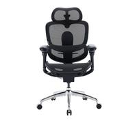 SIHOO Doro C300 V2 Fauteuil de Bureau Ergonomique avec Double Support Lombaire Dynamique et Accoudoirs 6D Coordonnés - Réglable pour Home Office et Gaming, Noir