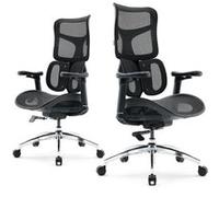 SIHOO Chaise de bureau Doro S100 – Soutien lombaire dynamique double, Accoudoirs 4D, Noir