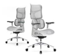 SIHOO Doro S100 Chaise Ergonomique, Double Support Lombaire Dynamique