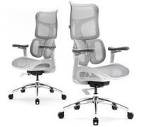 SIHOO Doro S100 Fauteuil de Bureau Ergonomique,avec Soutien Lombaire Dynamique Double,accoudoirs coordonnés en 4D,Blanc