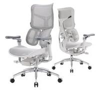 SIHOO Doro S300 Chaise de Bureau Ergonomique, Soutien Lombaire Dynamique Double, Accoudoirs 6D, Maille Gris Velours, Expédiée en 2 Colis Gris