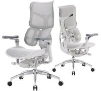 SIHOO Doro S300 Chaise de Bureau, Soutien Corporel Global Harmonisé, Gris