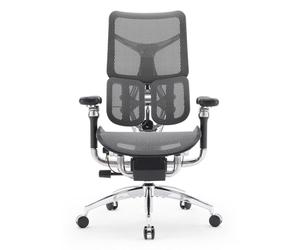 SIHOO Doro S300 Chaise de Bureau, Soutien Corporel Global Harmonisé, Noir | Accoudoirs 6D, Double Support Lombaire Dynamique, Assise Suspendue, Tension Inclinaison Réglable, Maille et Velours Italiens
