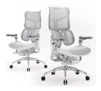 SIHOO Doro S300 Fauteuil de Bureau Ergonomique,avec Support Lombaire Dynamique Double, accoudoirs coordonnés 6D,Blanc Blanc G