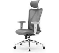 SIHOO M18 Chaise de Bureau Ergonomique à Dossier Haut, Pivotante avec Appui-tête Réglable et Support Lombaire, pour Bureau à Domicile (Gris)