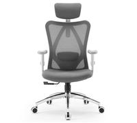 SIHOO M18 Fauteuil de Bureau Ergonomique, avec Support Lombaire et accoudoir réglable Gris foncé