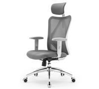 SIHOO M18 Chaise Ergonomique Bureau, Support Lombaire Réglables, Gris | Appui-Tête Ajustable, Accoudoirs 2D, Dossier Haut, Assise Large, Blocage d'Inclinaison, 150 kg, Confort Télétravail