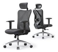 SIHOO M18 Fauteuil de Bureau,avec Support Lombaire et accoudoir réglable,Noir G