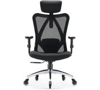 SIHOO M18 Fauteuil de Bureau Ergonomique, avec la Lune de Glace,Accoudoir Réglable,Noir
