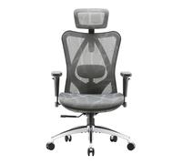 SIHOO Chaise de Bureau, Siege de Bureau Ergonomique, Dossier Haut Respirant avec Doux pour la Peau en Maille Chaise Réglable 3D Accoudoir et Soutien Lombaire (Gris)