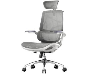 SIHOO M59AS Chaise de Bureau Ergonomique, avec accoudoirs 3D relevables, Double Dossier, Soutien Lombaire Dynamique adaptatif et Maille, idéale pour Le Bureau à Domicile.