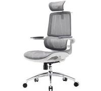SIHOO M59AS Fauteuil de Bureau Ergonomique, avec accoudoirs 3D relevables, Double Dossier, Soutien Lombaire Dynamique adaptatif et Maille, idéale pour Le Bureau à Domicile Gris