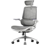 SIHOO M59AS Fauteuil de Bureau Ergonomique,avec accoudoirs 3D relevables,Soutien Lombaire Dynamique adaptatif,Gris