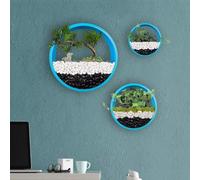 SIK 3 Pcs Mural Plateau Roud Métal Verre, Vase Mural Mur Terrarium Mur Fleur Pot Mur Air Plat Holder Succulet Vertical Cotaier, Idoor Décor pour Livig Room, Kitche, Balcoy, Escalier