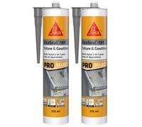 SIKA - Mastic et colle butyle 2 en 1 - SikaSeal-189 Toiture & Gouttière gris - Joints et réparations en couverture et vitrerie - Extérieur - 310 ml (Lot de 2)