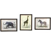 Sil Assortiment de 3 cadres Safari