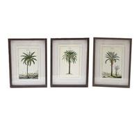 Sil - Ensemble de 3 cadres 30 x 40 cm Palmiers Multicolore