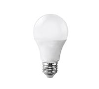 SILAMP Ampoule LED E27 15W 220V A65 - Blanc Neutre 4000K - 5500K