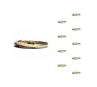 SILAMP Ruban LED 12V 5M 5050 IP20 60LED/m (Pack de 5) - Blanc Froid 6000K - 8000K