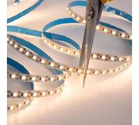 SILAMP Ruban LED 20M 24V IP20 100LED/M Recoupable à Chaque LED - Blanc Neutre 4000K - 5500K