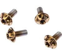 SILCA Vis 6Al/4V Titanium, paquet de 4, M5 x 12 bourbon
