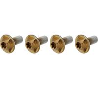 SILCA Vis Torx en Titane pour Porte-Bidon brun T25