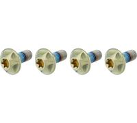 SILCA Vis Torx en Titane pour Porte-Bidon jaune T25