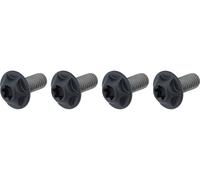SILCA Vis Torx en Titane pour Porte-Bidon noir T25