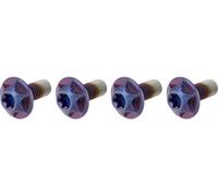 SILCA Schraube 6Al/4V Titane, 4er Pack, M5 x 12 violet royal
