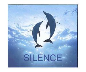 Silence 2004 : Les Plus Beaux Airs De Mozart Pour Se Détendre, Concerto Pour Cor No. 4, Concertos Pour Piano No. 20, No. 21 Et No. 27, Concerto Pour Violon No. 3, Danse Allemande No. 5
