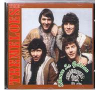 silence is golden - the Tremeloes
