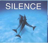 Silence : Les Plus Beaux Airs De Guitare Pour Se Détendre