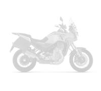 Silencieux Arrow INDY RACE EVO EMBOUT CARBONE