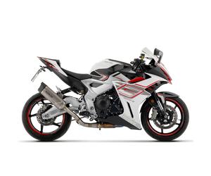 Silencieux Arrow INDY RACE EVO EMBOUT CARBONE