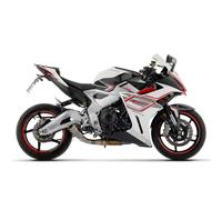 Silencieux Arrow Pro race