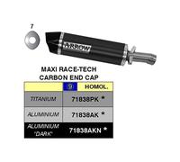 Silencieux ARROW Slip-On Maxi Race-Tech pour BMW 1200 R Rt